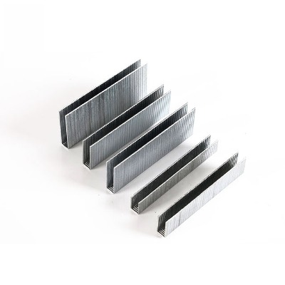 16 Gauge Stainless Steel Staples